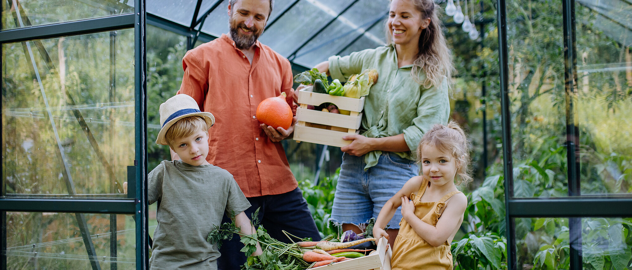 Junge Familie erntet frisches Gemüse im Gewächshaus