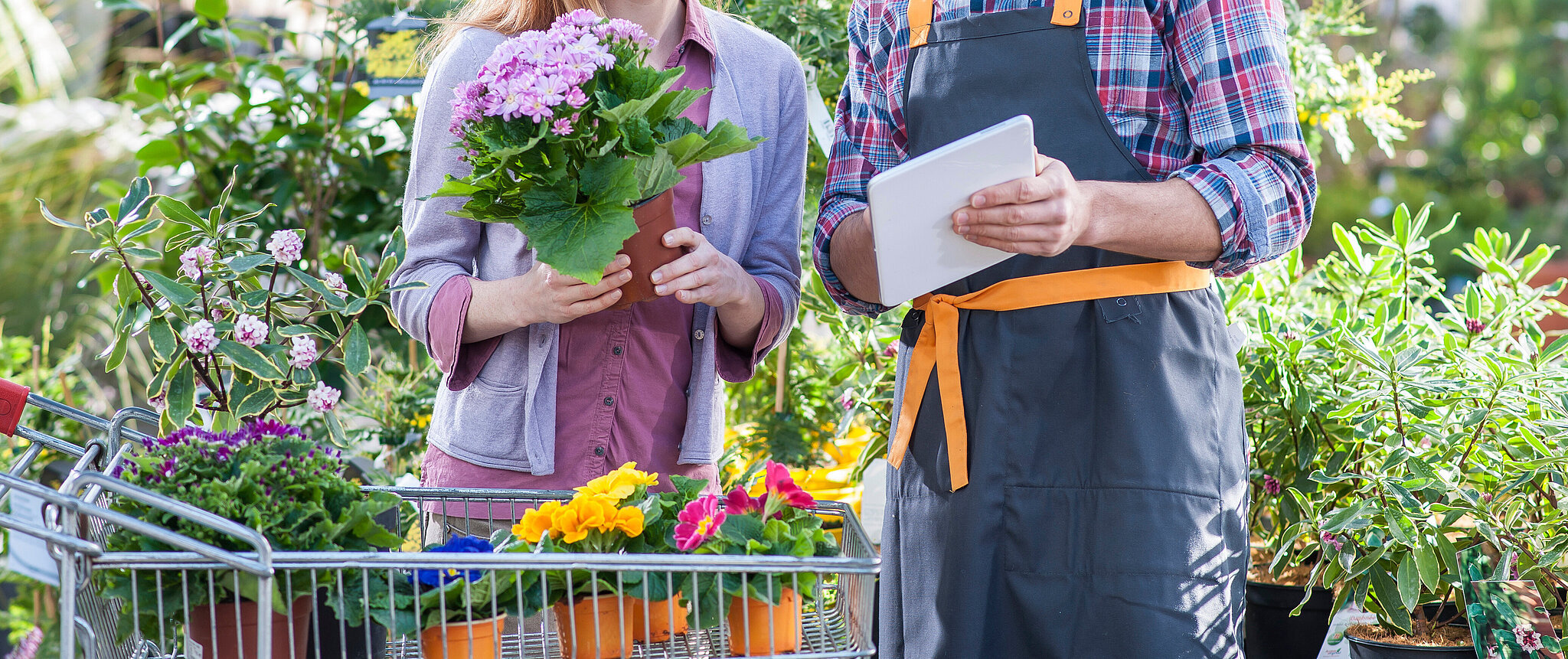 Ein Kundin kauft Blumenpflanzen und wird in einem Gartencenter von einem Gartenverkäufer beraten, er hält ein Tablet in der Hand 