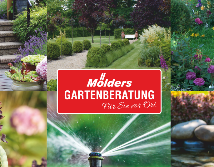 Mehrere Gartenbilder mit einem mittigen roten Recheck und der Aufschrift "Mölders Gartenberatung"