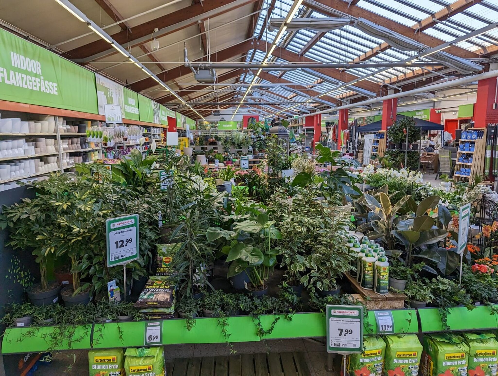 Eine große Auswahl an verschiedenen Zimmerpflanzen im Gartencenter der Mölders hagebaumärkte
